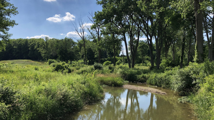 The first major conservation and restoration project for the Zionsville Parks Foundation will turn the former 216-acre Wolf Run Golf Club, now named the Carpenter Nature Preserve, into Boone County’s largest conservation park and a nature center.