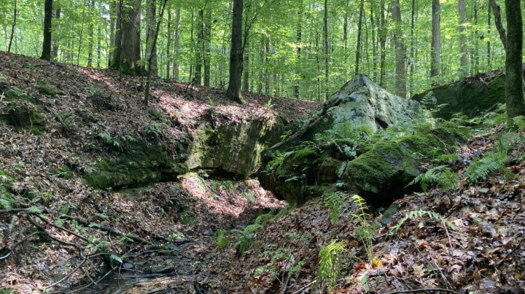 State dedicates 141 acres in Owen County as nature preserve