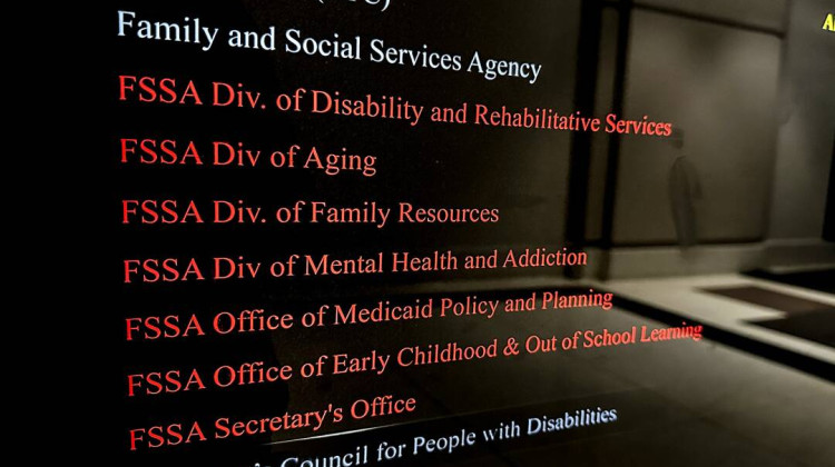 The Beneficiary Advisory Council is required by a federal rule. It's meant to create a way for Medicaid members to provide feedback to the state and the Medicaid Advisory Committee, or MAC. - Abigail Ruhman / IPB News