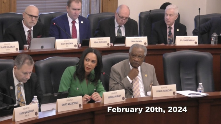 Senate committee discusses a bill that would have repealed the EED. - Photo from Indiana General Assembly live stream