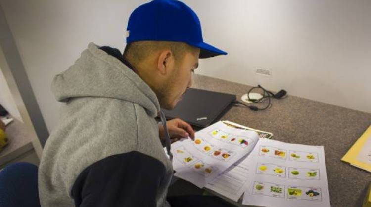 A student studies a sheet with fruits and vegetables in the Indiana Region 4 migrant education center's mobile classroom. - Peter Balonon-Rosen/IPB