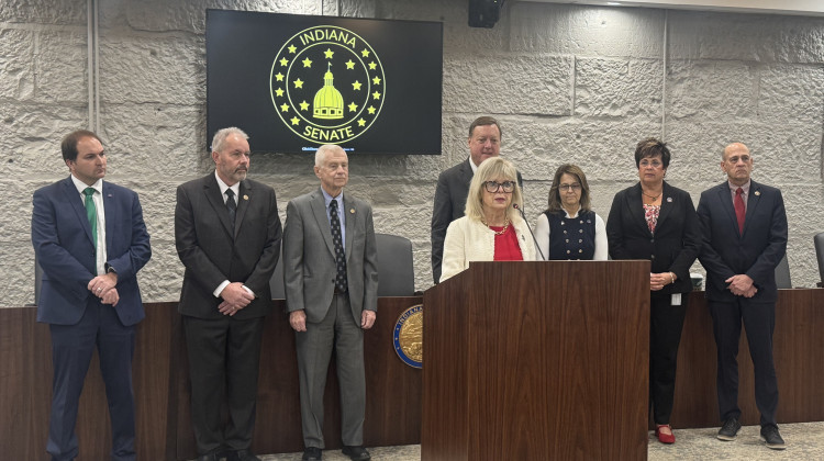 Trump-aligned immigration bill would mandate cities, schools cooperate with ICE