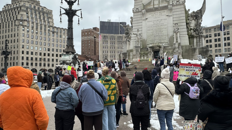 The crowd gathered on the steps of the Soldiers and Sailors Monument on a cold Saturday afternoon. People flashed signs supporting a coalition of causes like climate change and transgender rights. - Zak Cassel/WFYI News