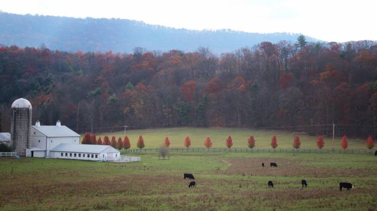 Organic Farmers Bash FDA Restrictions On Manure Use