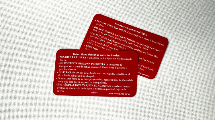 These pocket-sized red cards describe immigrants' Constitutional rights