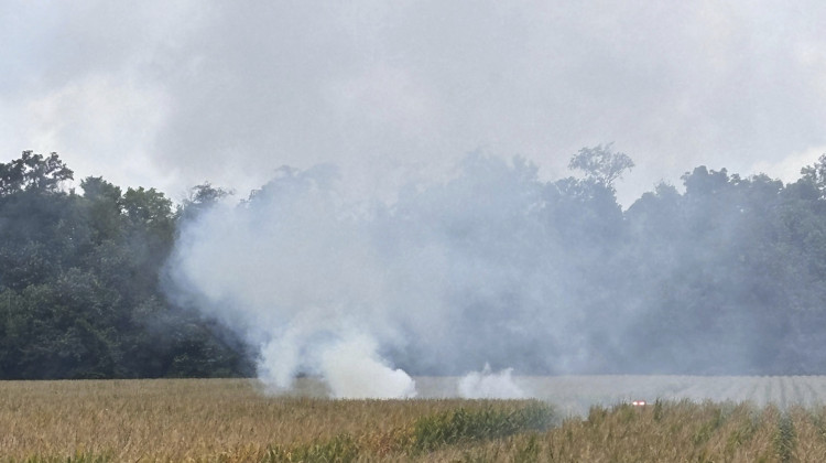 In this photo provided by the East Madison Fire Territory, smoke rises from a cornfield in central Indiana, after a plane taking off from Fort Dodge, Iowa, crashed en route to Anderson Municipal Airport on Friday, Sept. 6, 2024. (Todd Harmeson/East Madison Fire Territory via AP)