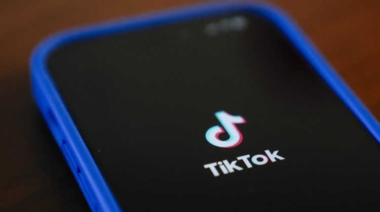 The TikTok app logo is shown on an iPhone on Friday, Jan. 17, 2025, in Houston. (AP Photo/Ashley Landis)