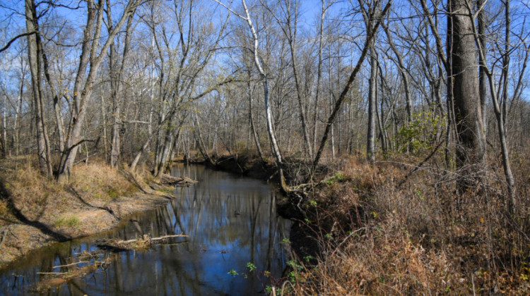 The Indiana Department of Natural Resources hopes to open the new Busseron Creek Fish and Wildlife Area to the public in April 2025.  - Courtesy of the Indiana Department of Natural Resources