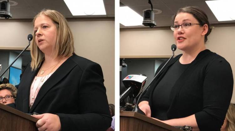 Doctors Split In Testimony On Abortion Bill