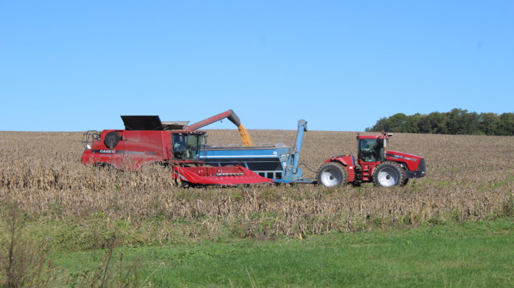 Almost 40 percent of corn and nearly 50 percent of soybeans grown in the U.S. are grown for biofuels and not food. - FILE PHOTO: Annie Ropeik / IPB News