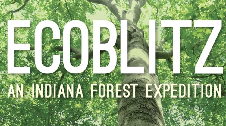 Forest Alliance book 'EcoBlitz' looks at diverse species in state forests, argues for old growth