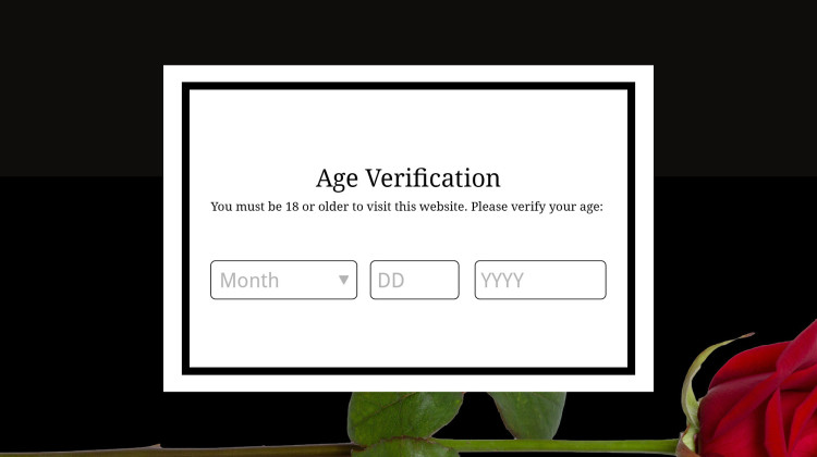 An Indiana law set to take effect July 1, 2024 requires websites that host material harmful to minors to require stricter age verification. - Photo illustration by Lauren Chapman / IPB News
