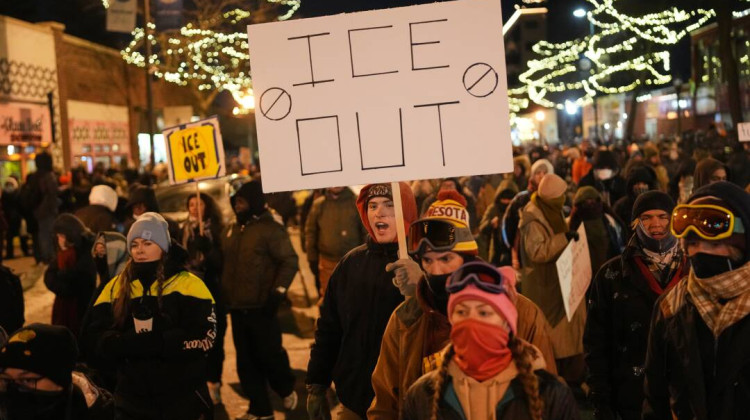 Congressional leaders call for investigation into killing of Alex Pretti