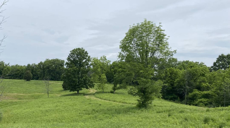 New Dearborn County, Ind. nature preserve is home to rare firefly