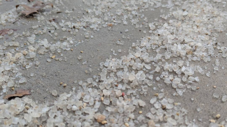 Road salt harms plants and aquatic life. How to use salt more sustainably this winter