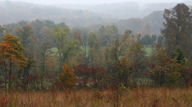 Judge orders temporary stop to US Forest Service logging project in Hoosier National Forest