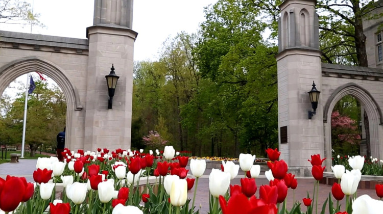 Indiana public colleges cut almost 20% of degrees