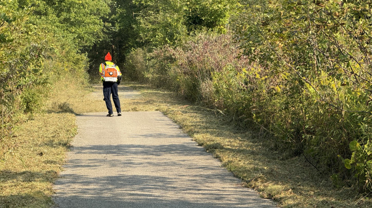 A DPW worker helps clear a trail at Grassy Creek Regional Park. - Samantha Horton / WFYI