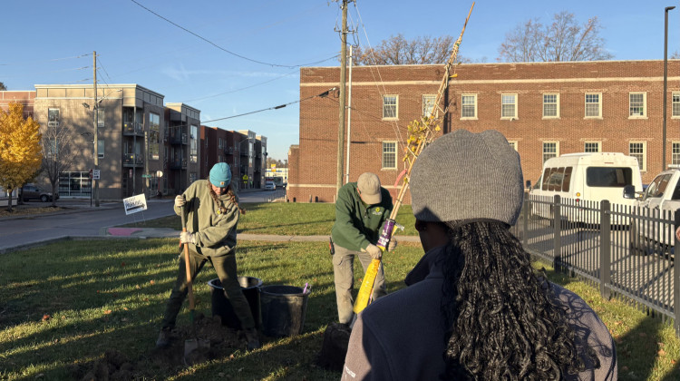 Local environmental groups urge Indianapolis to protect its urban forests