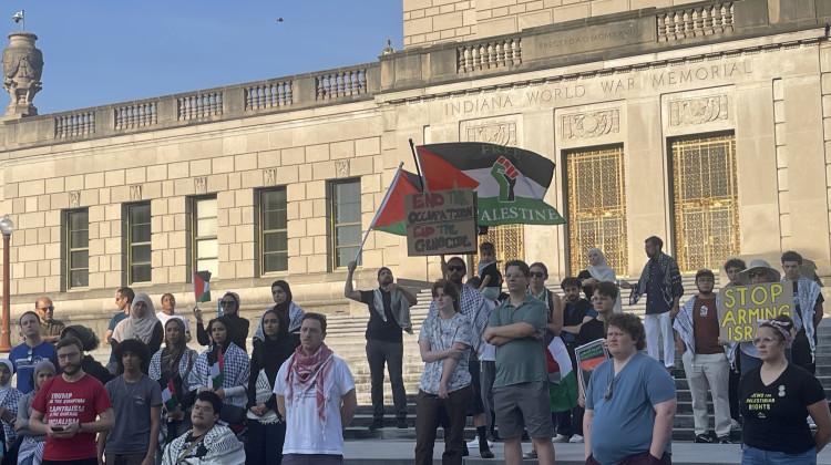 Protestors gather at the War Memorial to speak out against Gaza conflict