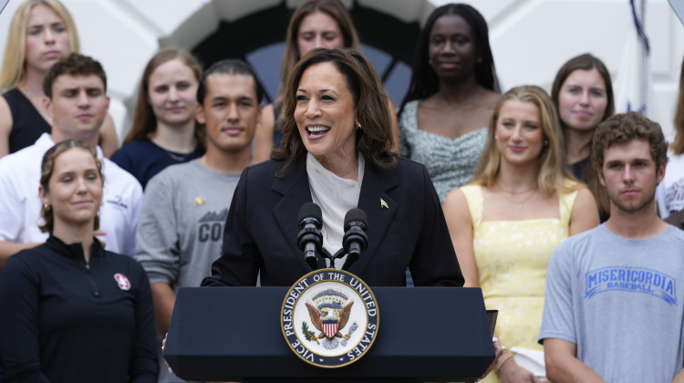 Vice President Kamala Harris speaks from the South Lawn of the White House in Washington, Monday, July 22, 2024, during an event with NCAA college athletes. This is her first public appearance since President Joe Biden endorsed her to be the next presidential nominee of the Democratic Party.  - Susan Walsh/AP Photo