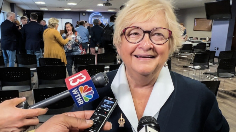 Former State Sen. Karen Tallian elected Indiana Democratic Party leader