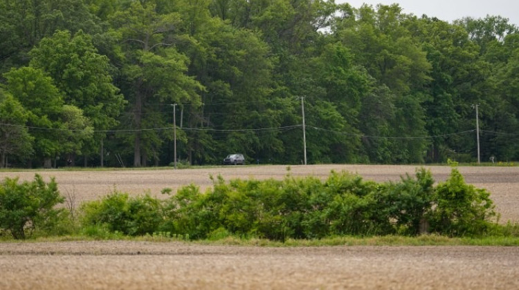 Farmland, located southwest of the intersection of Davis Road and Troy Avenue, is seen on May 27, 2025, in Franklin Township on the south side of Indianapolis. The land is the proposed site of a multi-building data center. - Jenna Watson / Mirror Indy