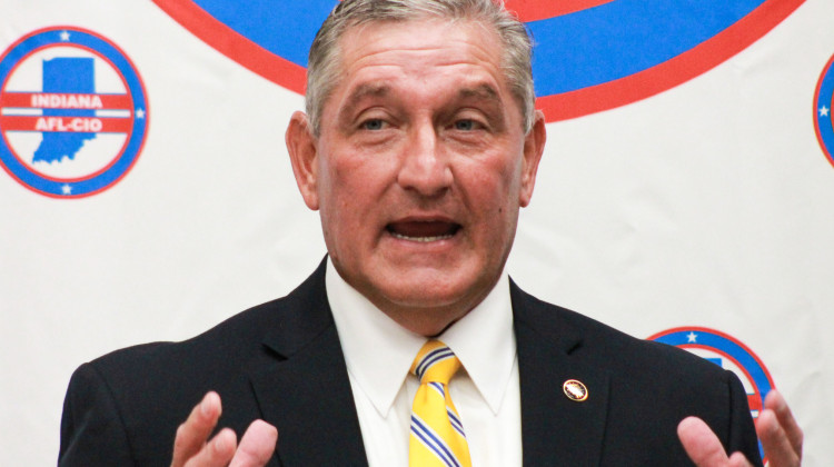 Former state Rep. Terry Goodin is the favorite to win the nomination for lieutenant governor at the 2024 Indiana Democratic Party convention.  - Brandon Smith / IPB News