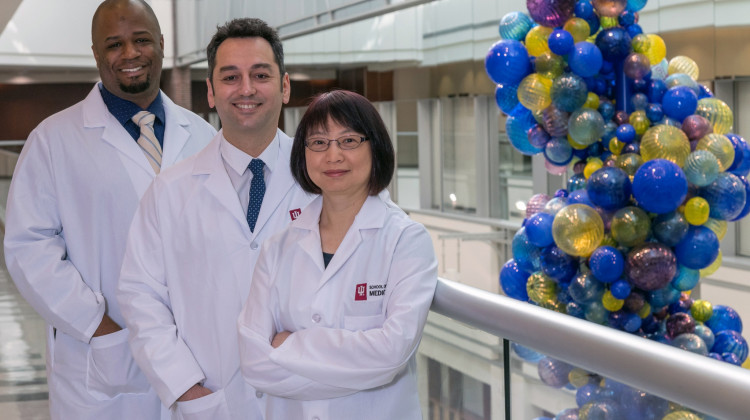 Indiana University School of Medicine Dr. Burcin Ekser (middle) and some of the team of researchers who work on organ transplant technology. - Photo courtesy Indiana University School of Medicine