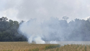 A small plane crashed in an Indiana cornfield, killing everyone onboard