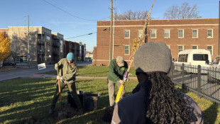 Local environmental groups urge Indianapolis to protect its urban forests