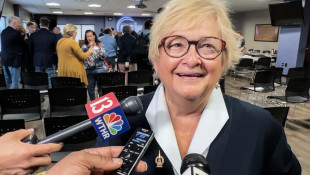 Former State Sen. Karen Tallian elected Indiana Democratic Party leader