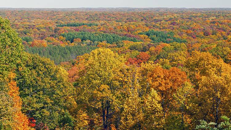 Fall color slowly but surely changing in Indiana - Indianapolis News, Indiana Weather, Indiana Traffic, WISH-TV