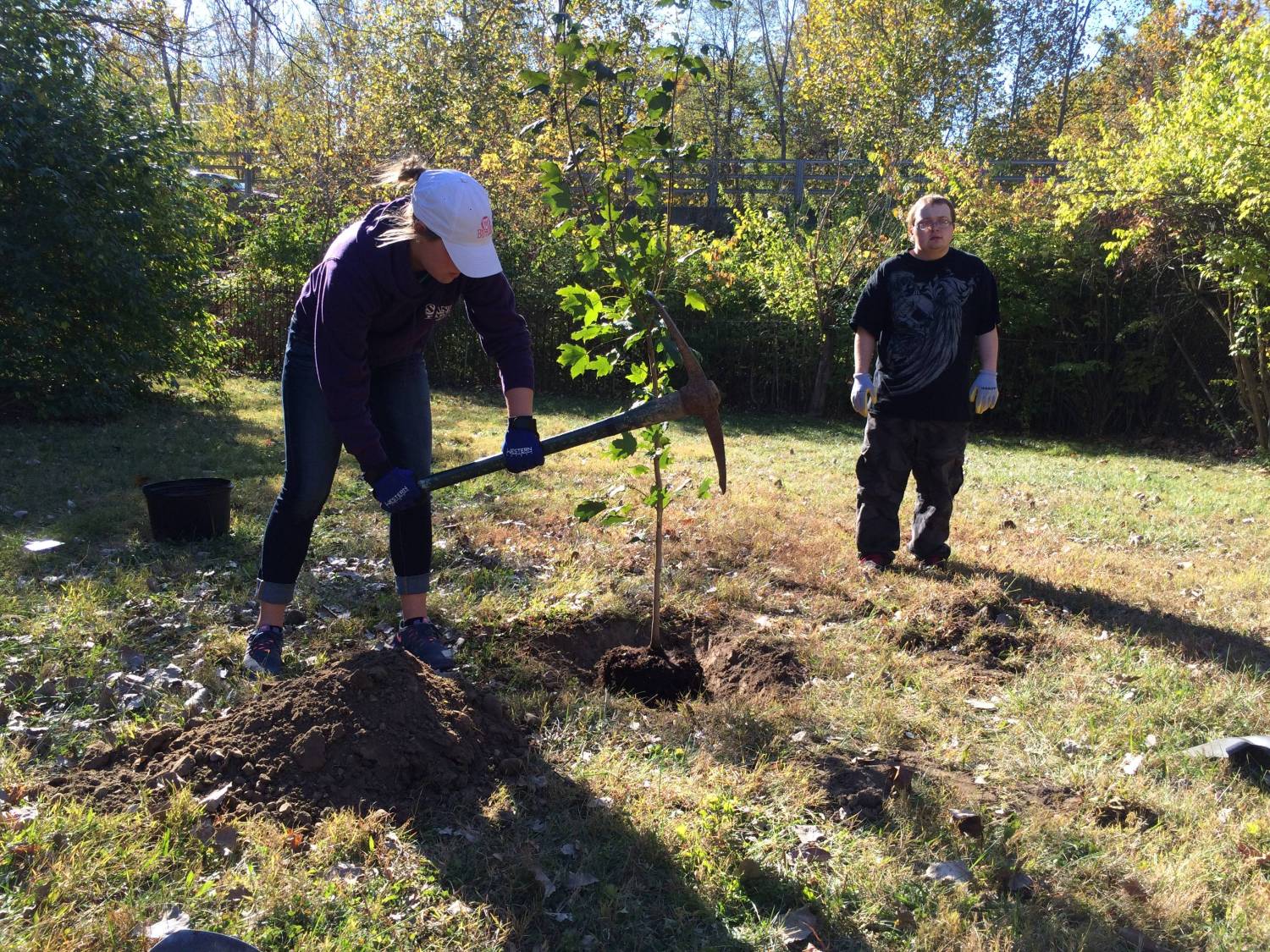 Students Plant Trees, Grow Friendships