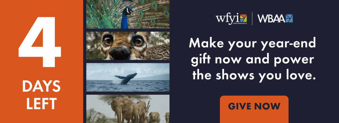 Make your year-end gift now and power the shows you love.