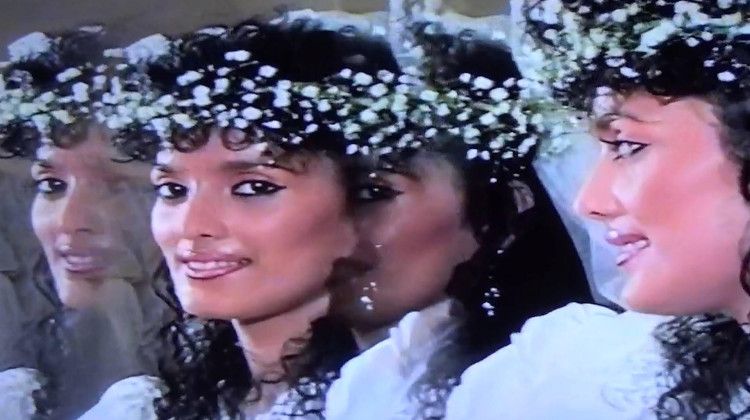 The Taste of Mango The Taste of Mango