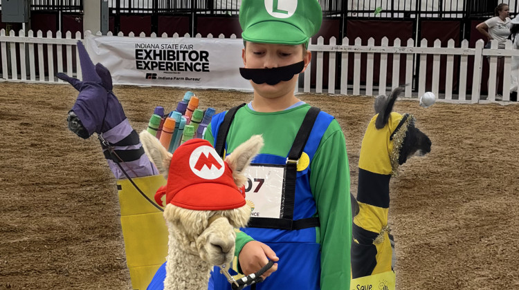 Llama Costume Contest