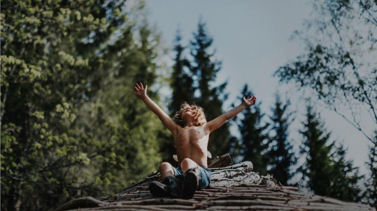 A New Kind of Wilderness A New Kind of Wilderness