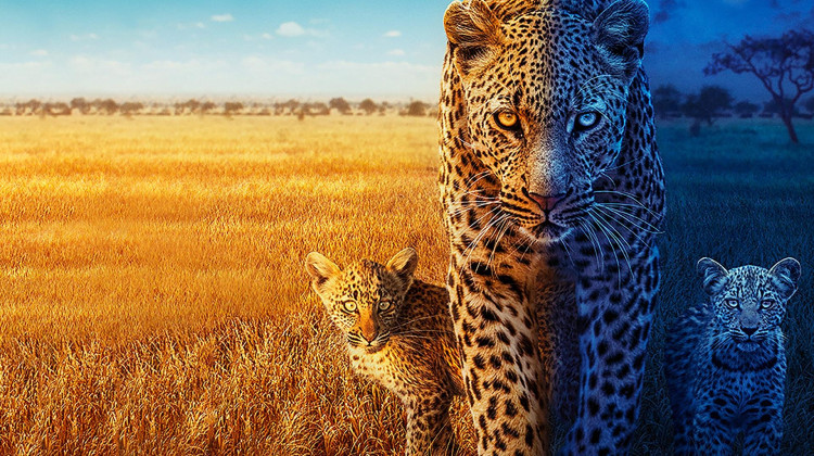 Season 2 Preview Season 2 Preview