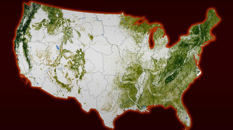 The Biggest Climate Scam Ever? The Biggest Climate Scam Ever?