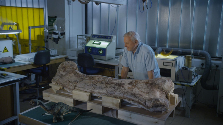 Museum Alive with David Attenborough